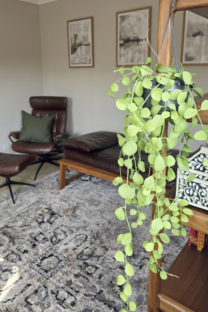 PROJECT - Balham Private Therapy Practice Speaking of Interiors